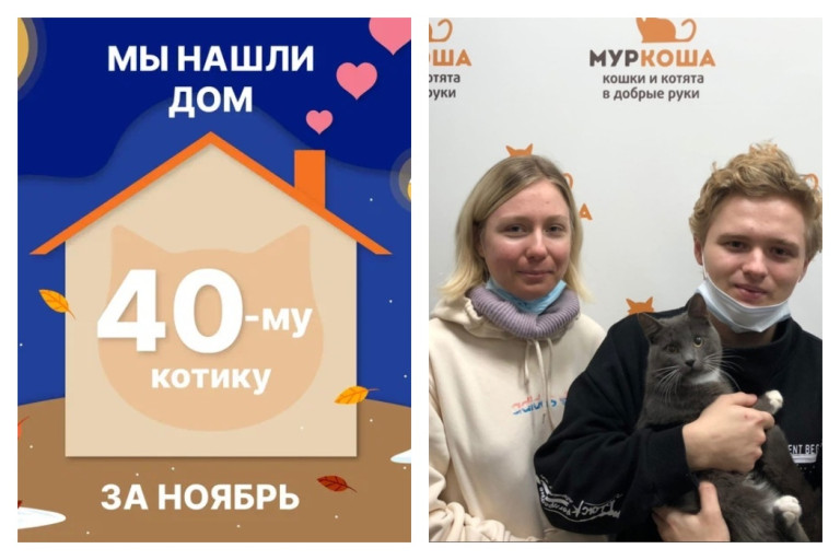 Котик Шансик отправился домой!