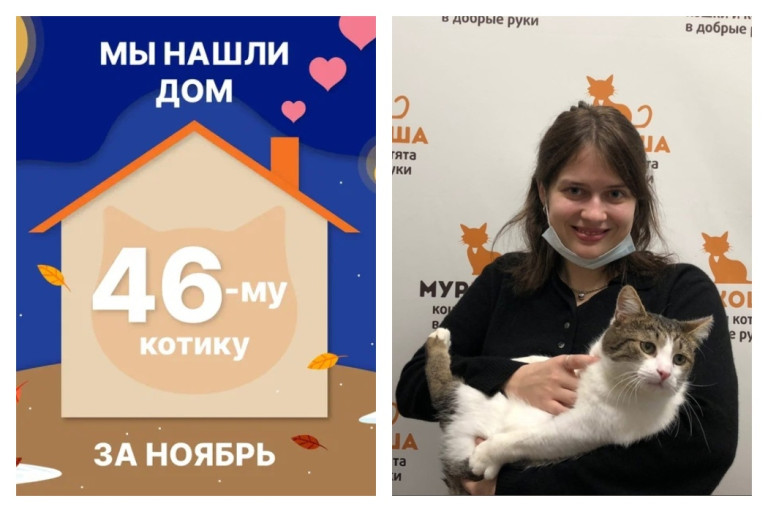 Кот Манюник начинает счастливую жизнь дома!