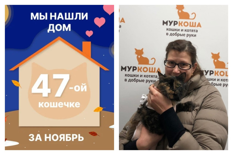 Кошечка Герцина рада познакомить со своей хозяйкой!