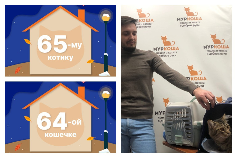 Кошечка Лумара и котик Бонзалин отправляются в один дом!