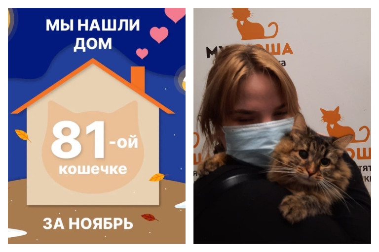 Сойка встретила своих хозяев!