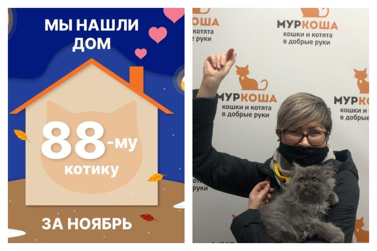 Сладкий Десертик стал домашним за полтора месяца!