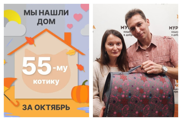 Котик Фося начинает долгожданную домашнюю жизнь!