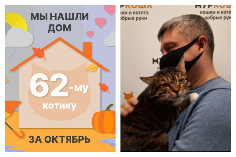 Очаровательный Тризор стал домашним любимцем!