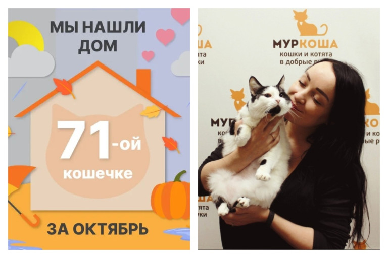 Кошечка Масильда начинает счастливую домашнюю историю!
