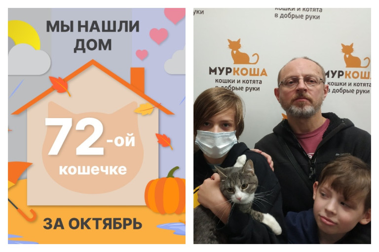 Кошечке Омега встретила надежных хозяев!