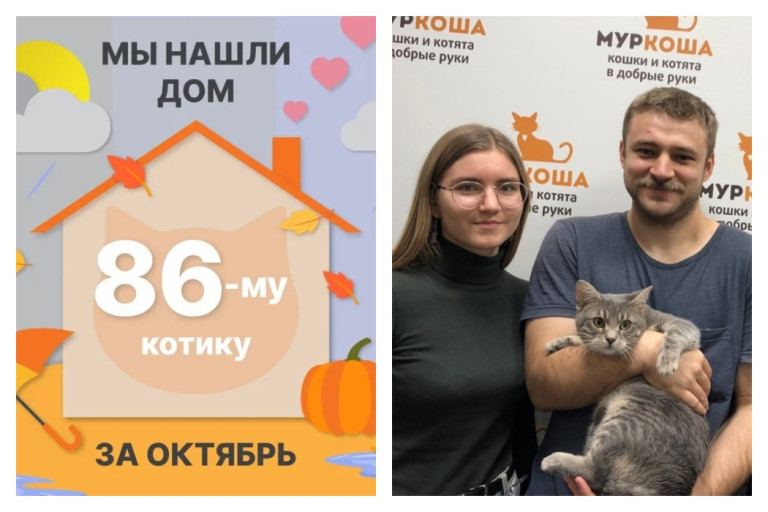 Котик Мышкинс стал частью прекрасной семьи!
