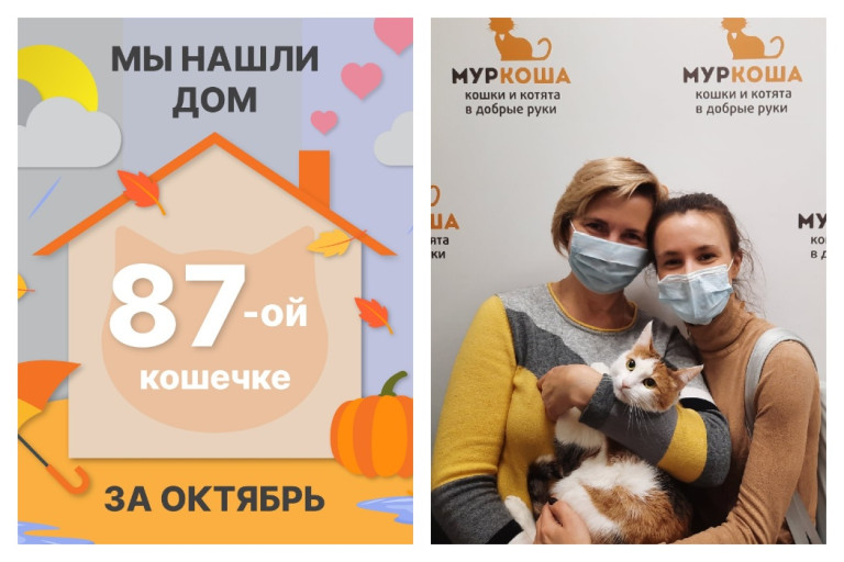 Кошечка Зорина встретила прекрасную семью!