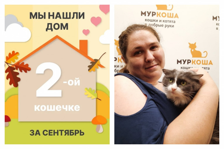 Кошечка Миранда встретила заботливую хозяйку!