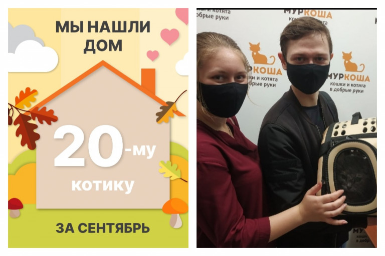 Котик Донатс встретил домашнее счастье всего за месяц!