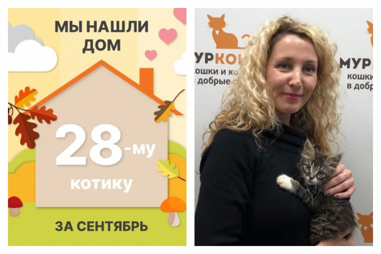 Котик Маквин стал домашним всего за месяц!