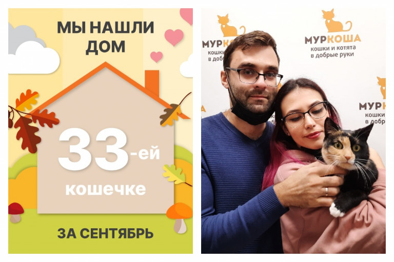 Кошечка Любавушка нашла новый дом за два месяца!