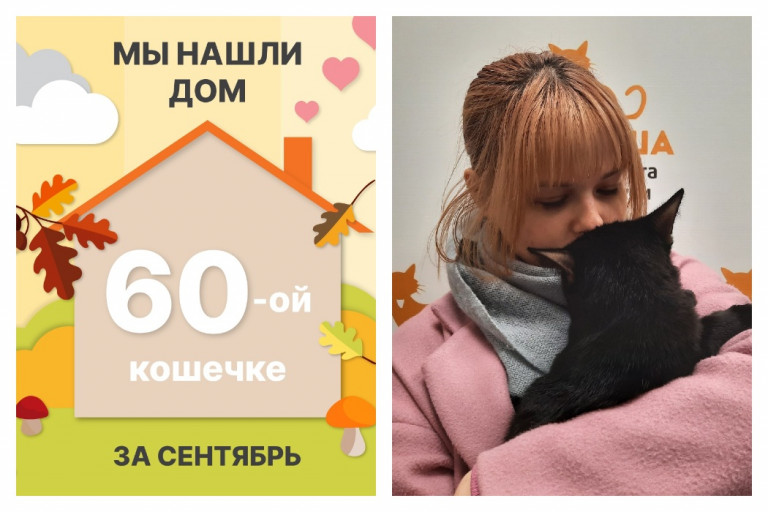 Кошечка Кларита нашла новый дом за два месяца!