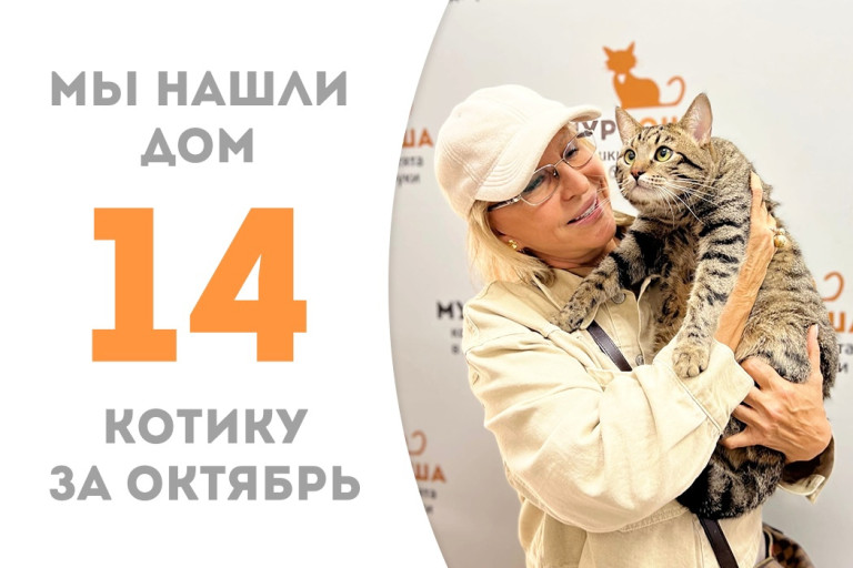 Котик Барсюнчик уехал счастливо жить к нашим выпускникам Кисельке и Дали!