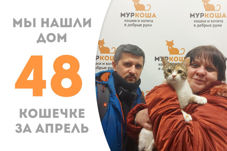 Кошка Беркана начинает домашнюю жизнь! 