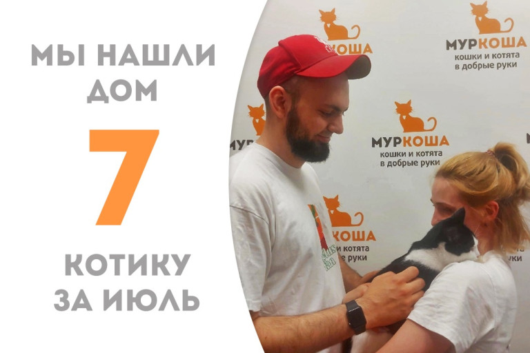 Котик Биткоин нашёл свою семью! 