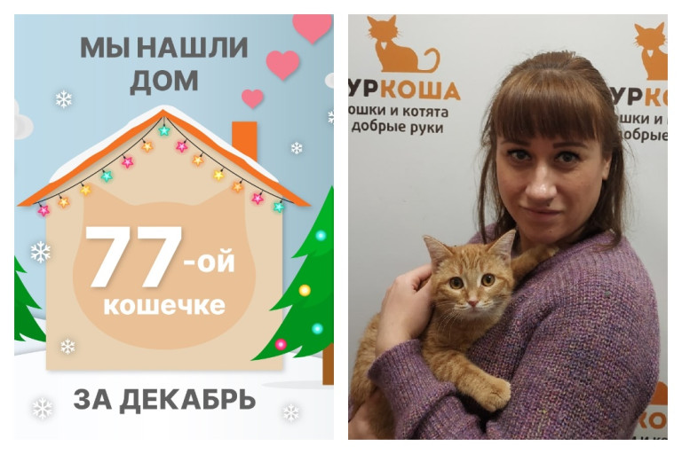Кошечка Домисоль стала домашней за две недели!