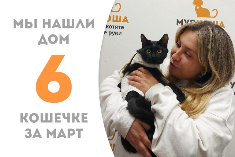 Очаровательная кошечка Душица отправилась домой!