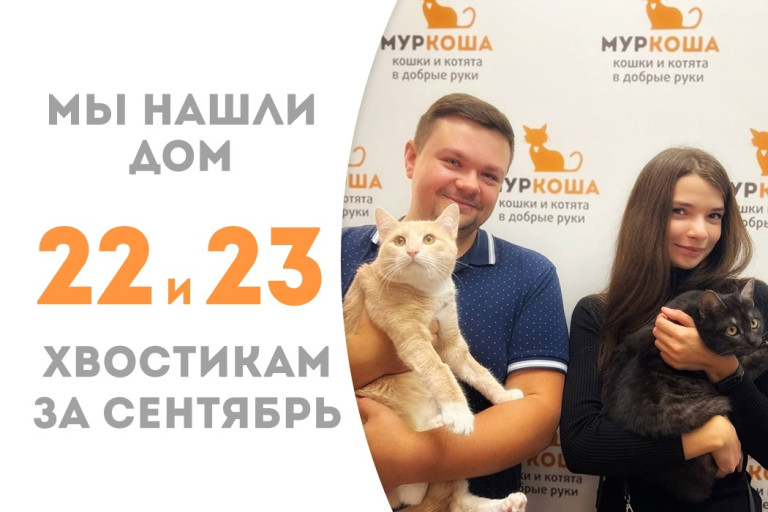 Котик Джейд за два месяца обрёл подружку Масяшу и новый общий дом! 