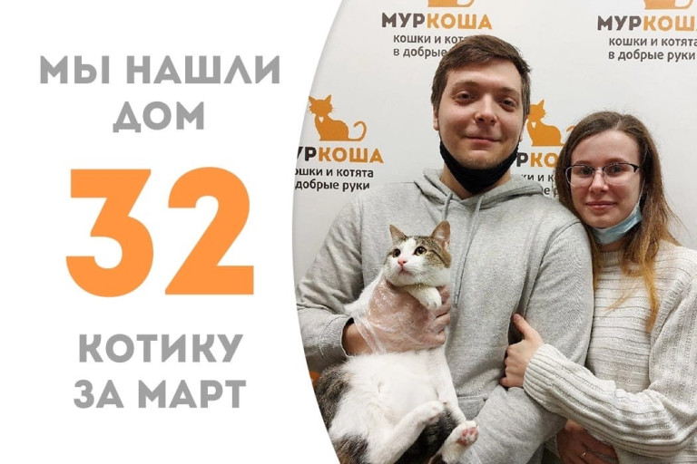Кот Эверест начинает новую жизнь!