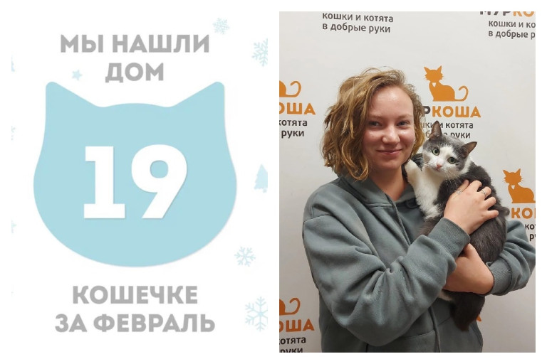 Кошка Кокоша встретила прекрасную хозяйку!