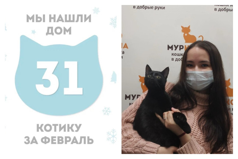 Котёнок Ролли стал домашним всего за месяц!