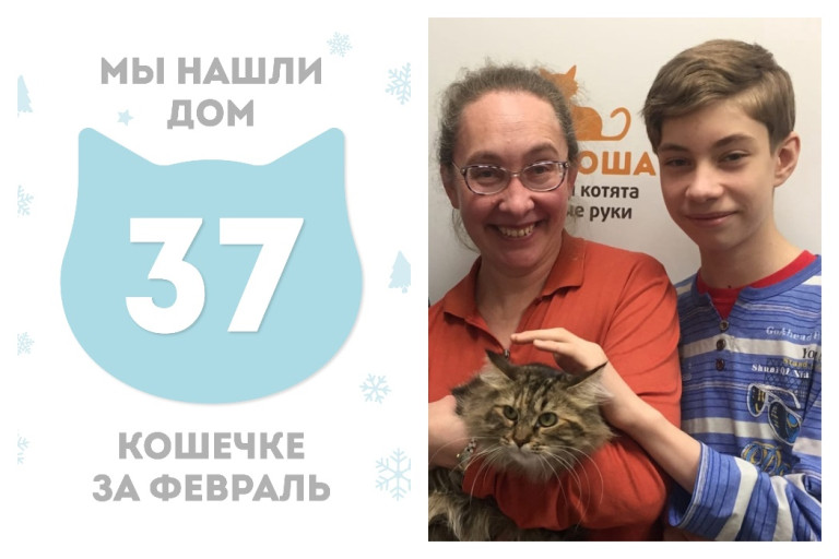 Кошечка Шитаки встретила надёжную семью!