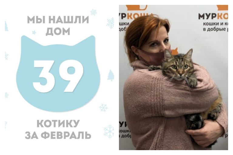 Котик Партизан стал частью прекрасной семьи!