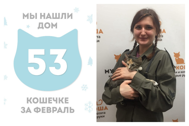 Кошечка Котелла стала домашней!