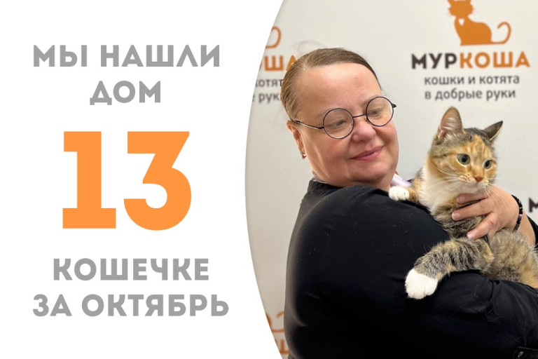 Кошечка Фелиция, прожив три месяца в приюте, нашла себе хозяйку! 