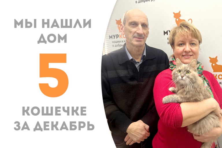 Кошечка Фенестина нашла себе заботливую семью за полтора месяца! 