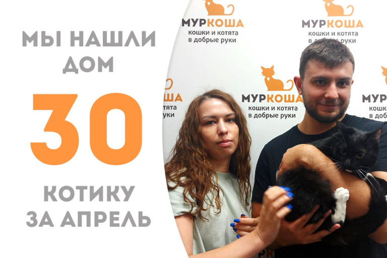 Котик Фиксик теперь домашний!