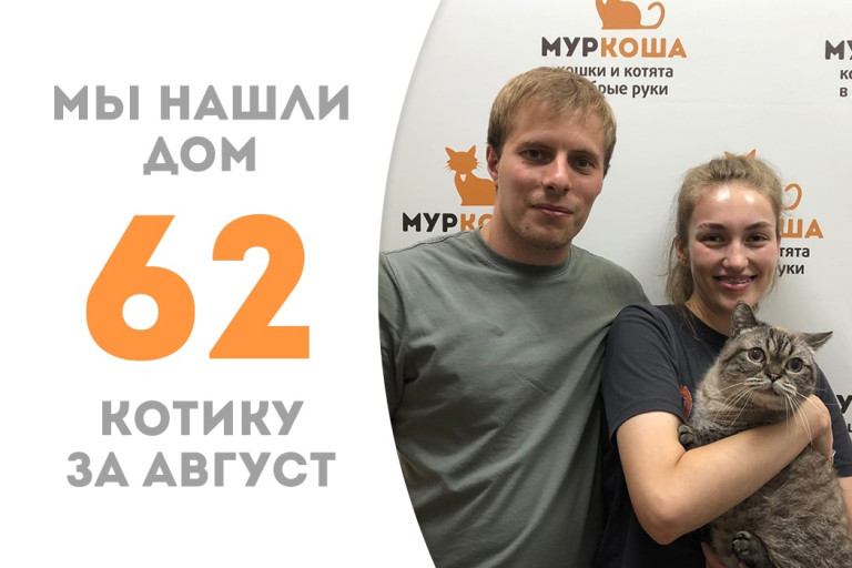 Котик Филимон всего за неделю в приюте нашёл себе новую семью и дом! 