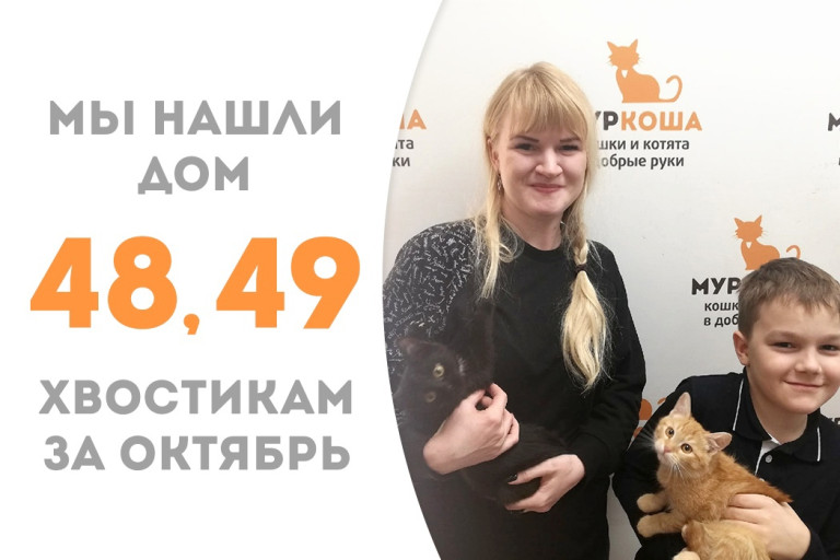 Всего полтора месяца потребовалось неразлучникам Гамми с Боливией, чтобы найти себе семью!