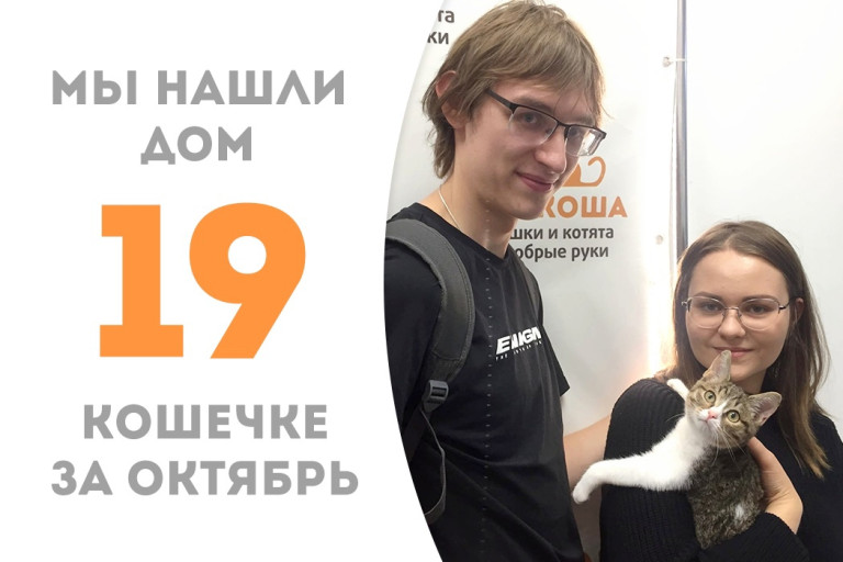 Менее чем за два месяца котёнок Гвендолин стала домашней любимицей! 
