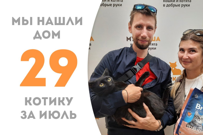 Котёнок Ихмилион девяти месяцев от роду пробыл в приюте около двух месяцев и уехал в новый дом! 