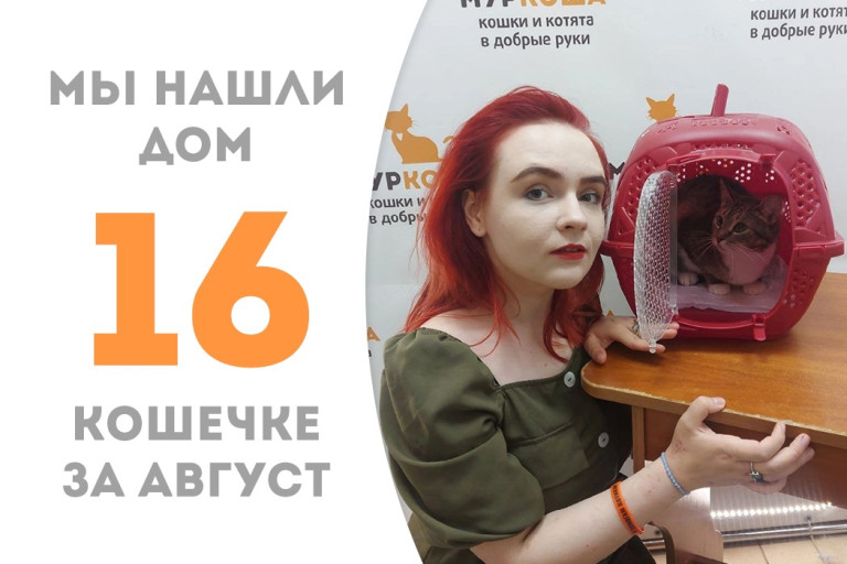 Кошечка Инсайта уехала жить к самой замечательной хозяйке в дом, где её ждёт подружка Пчюча! 