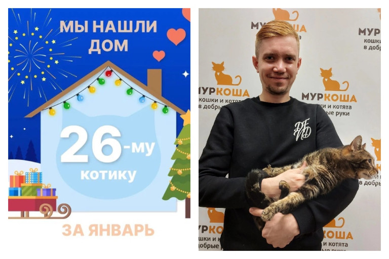 Кот Усик уехал в свой новый дом!