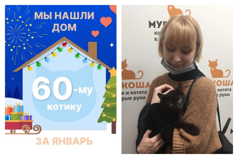 За два месяца нашел дом котёнок Вайкики!