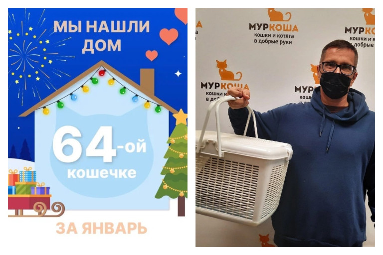 Кошка Орейро отправилась домой!