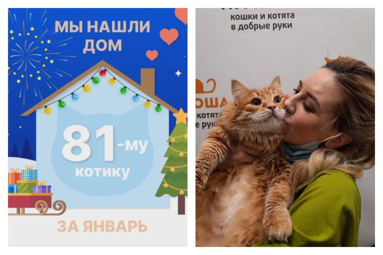 Котик Кузьмин нашёл свой новый дом за два месяца!