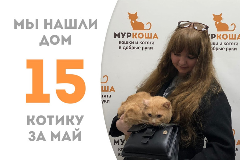 Котик Карлуша встретил свою новую хозяйку! 