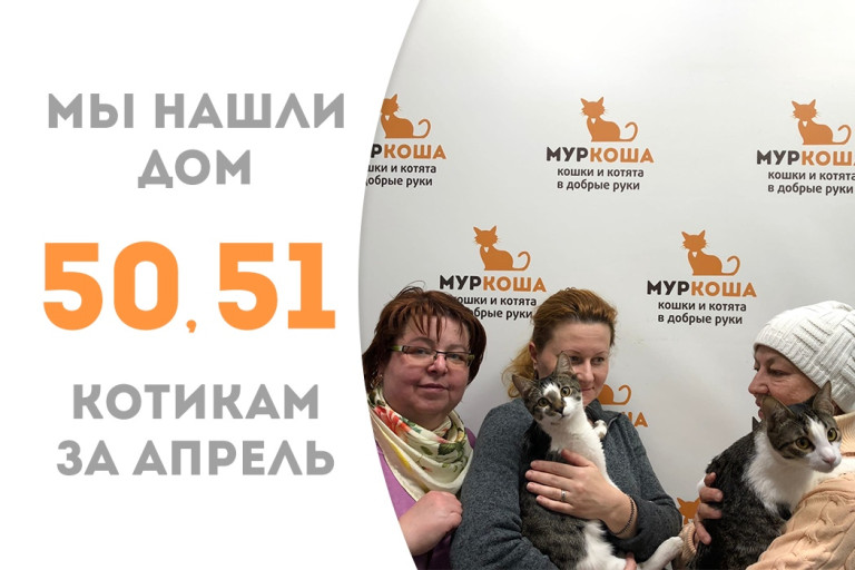 Спустя пять дней в "Муркоше" братья Хью и Деловая Колбаса уезжают в новый дом! 
