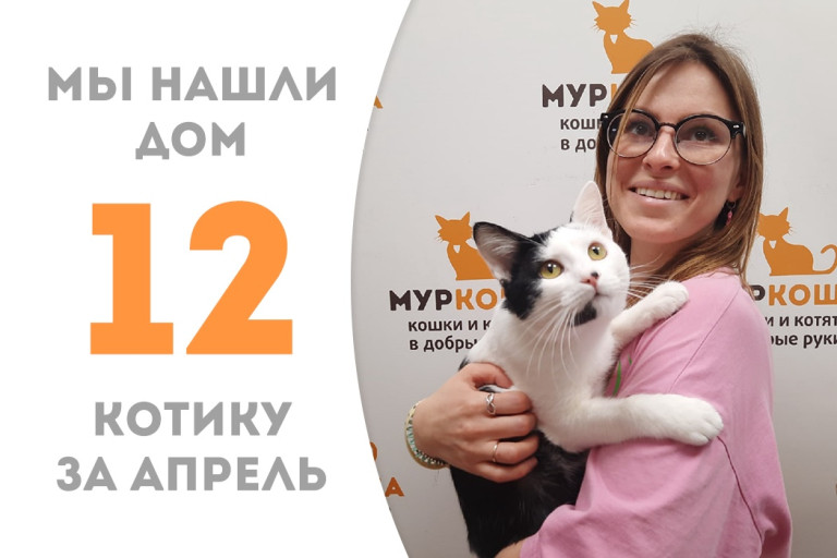 Котенок Корвус уехал домой! 