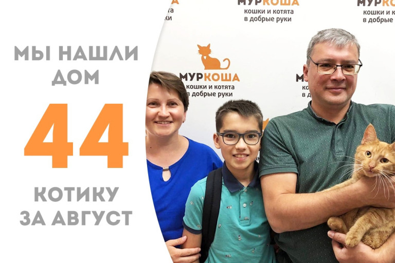Котик Литлбиг, живший ранее на конюшне, нашёл себе дружную семью за два с небольшим месяца в приюте! 