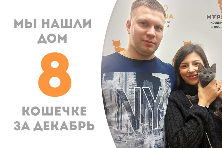 Пятимесячная кошечка Марая, спасённая с помойки, нашла себе семью за два месяца!