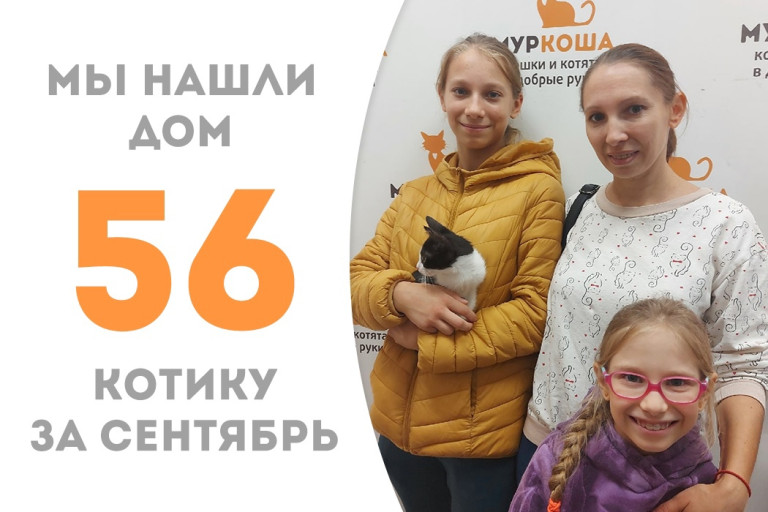 Котёнок Мини Купер, найденный в автомобильном двигателе, провёл месяц в приюте и стал домашним! 