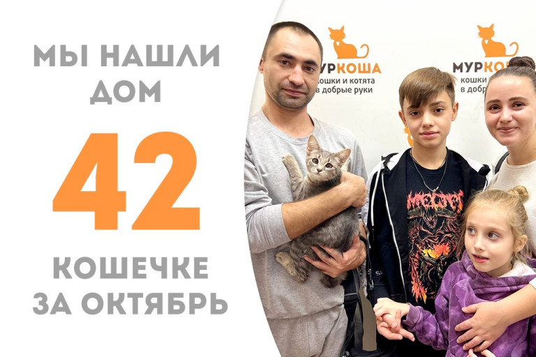 Милейшая малютка, пятимесячная кошечка Надина отправляется в любящую семью! 