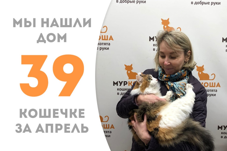 Семилетняя Нюкта начинает новую жизнь!
