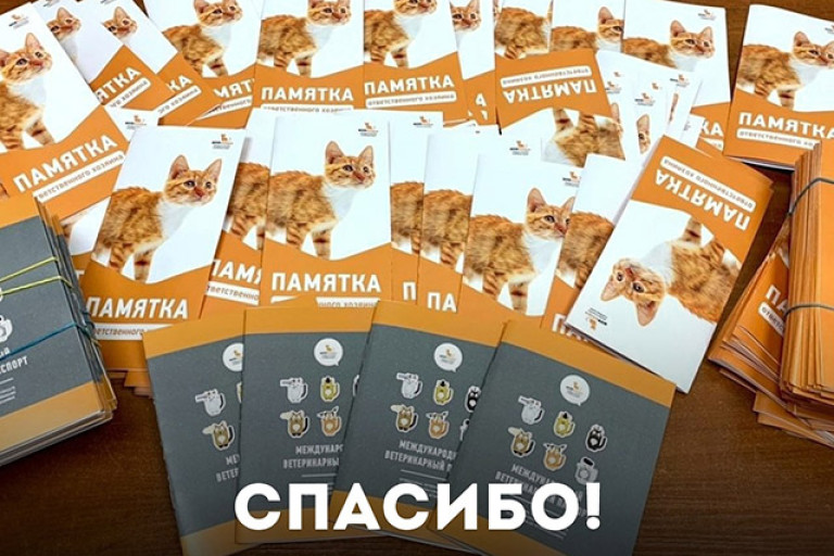 Время пушистых новостей 